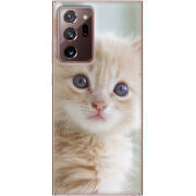 Чехол BoxFace Samsung N985 Galaxy Note 20 Ultra Animation Kittens