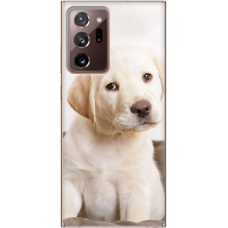 Чехол BoxFace Samsung N985 Galaxy Note 20 Ultra Puppy Labrador