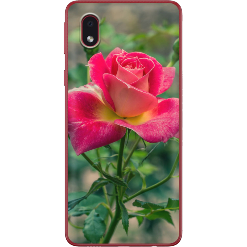 Чехол BoxFace Samsung Galaxy A01 Core (A013) 