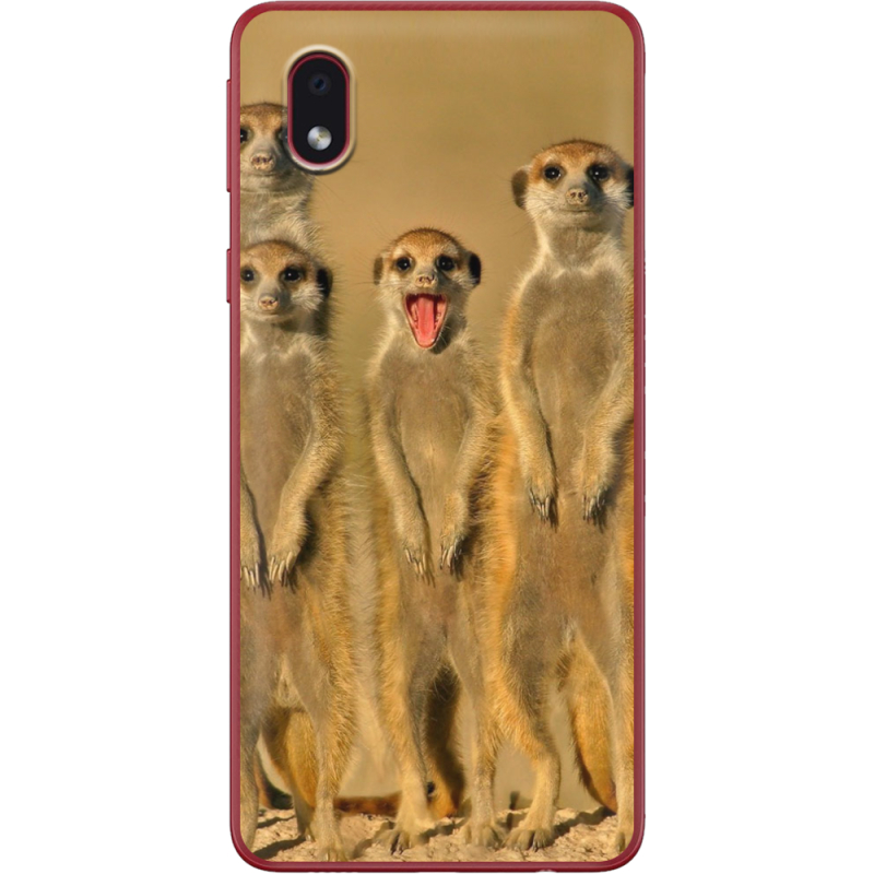 Чехол BoxFace Samsung Galaxy A01 Core (A013) 