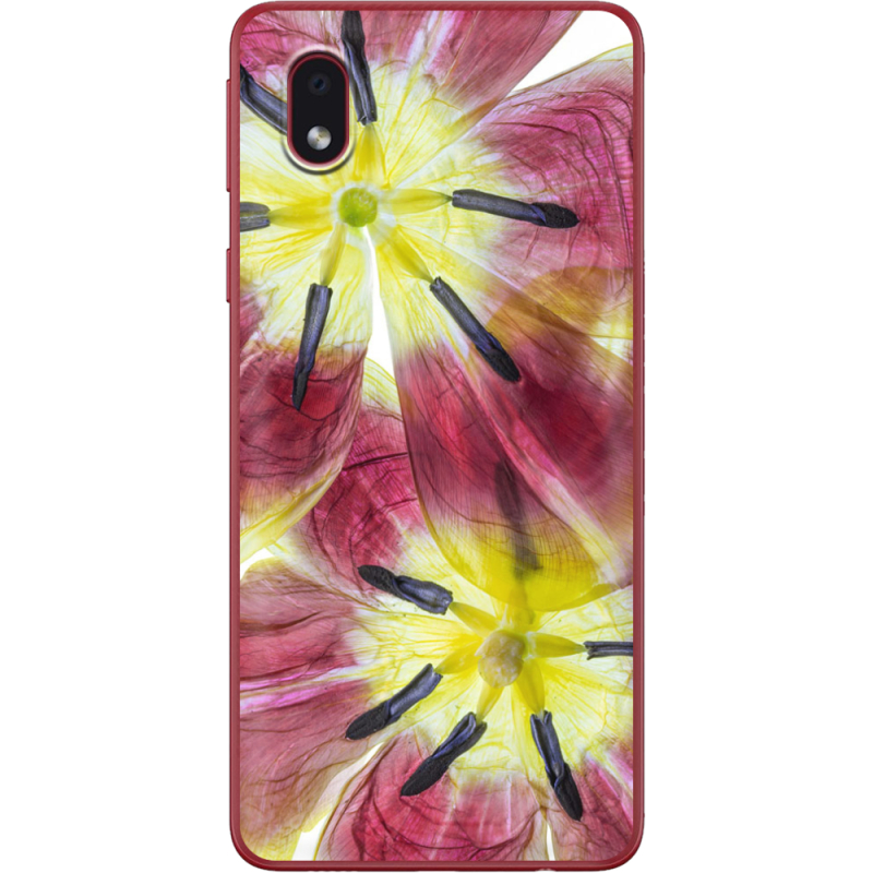 Чехол BoxFace Samsung Galaxy A01 Core (A013) 