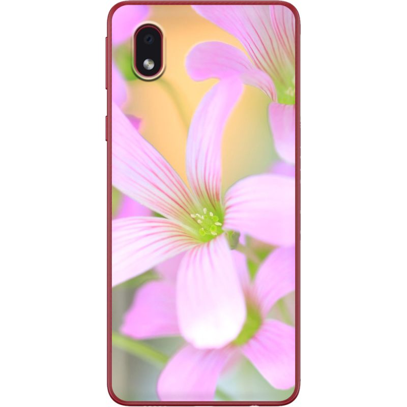 Чехол BoxFace Samsung Galaxy A01 Core (A013) 