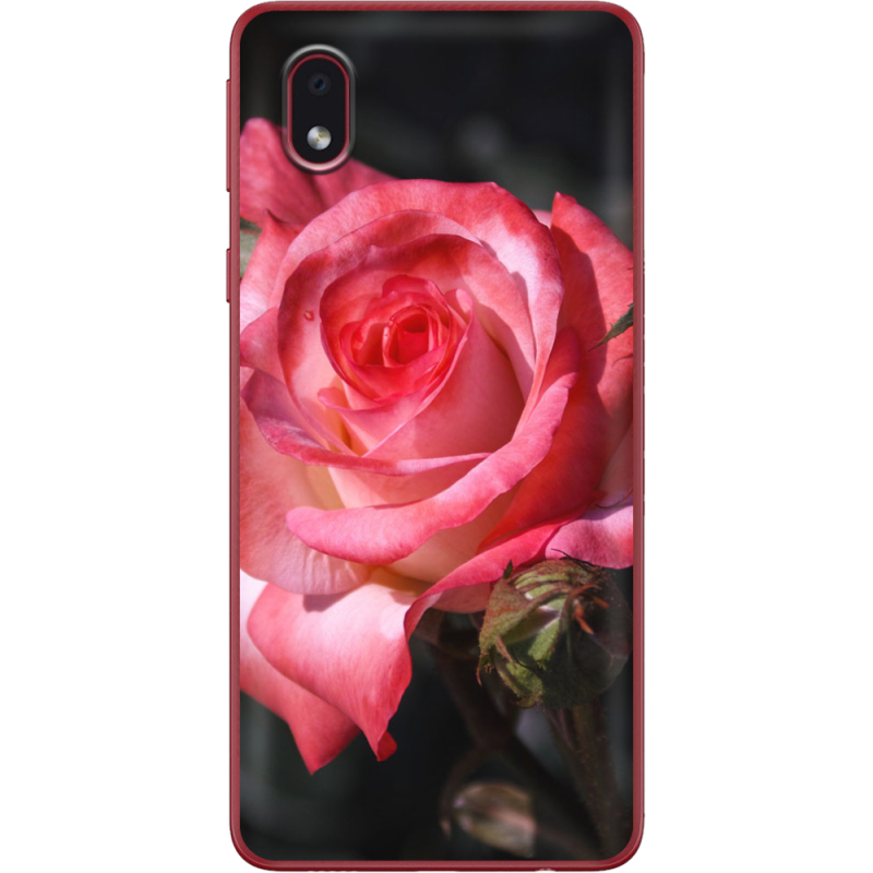 Чехол BoxFace Samsung Galaxy A01 Core (A013) 