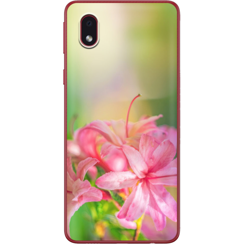 Чехол BoxFace Samsung Galaxy A01 Core (A013) 