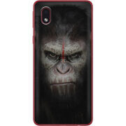 Чехол BoxFace Samsung Galaxy A01 Core (A013) 