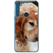 Чехол BoxFace Motorola One Fusion Plus Golden Retriever