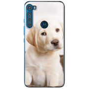 Чехол BoxFace Motorola One Fusion Plus Puppy Labrador