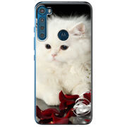 Чехол BoxFace Motorola One Fusion Plus Fluffy Cat