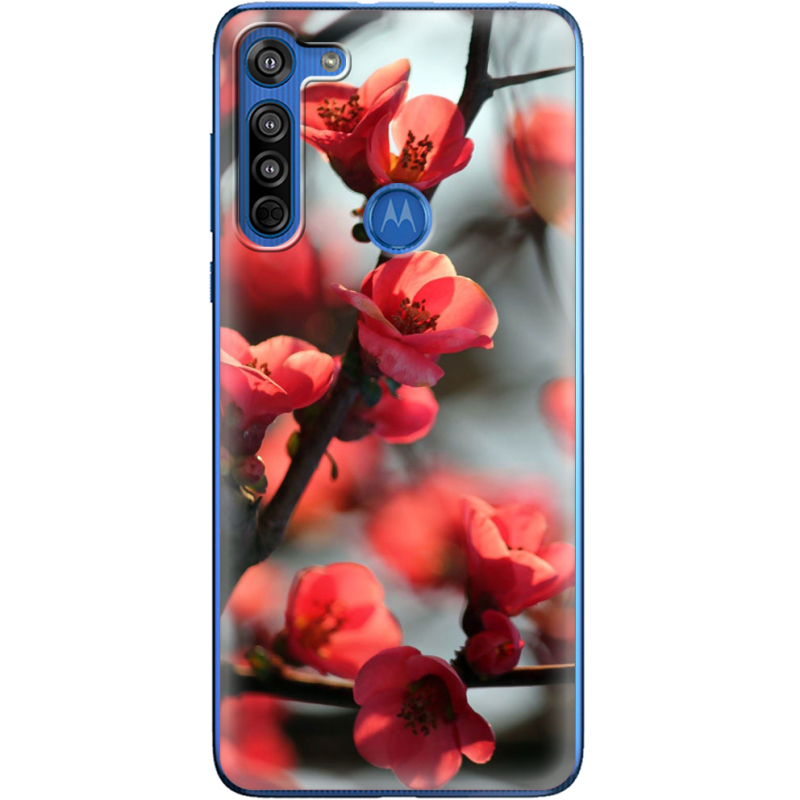 Чехол BoxFace Motorola G8 Awakening Spring