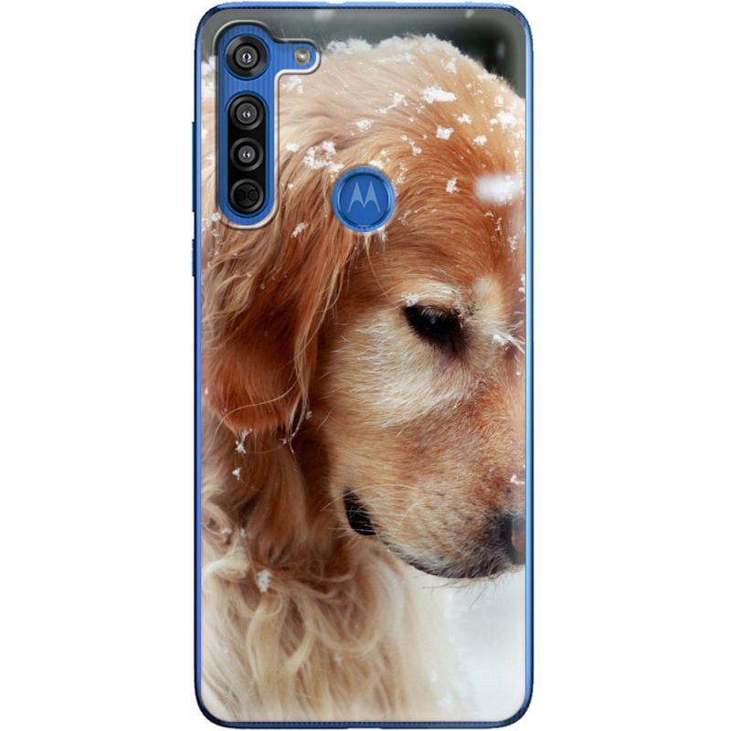 Чехол BoxFace Motorola G8 Golden Retriever