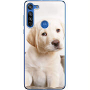 Чехол BoxFace Motorola G8 Puppy Labrador