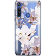 Прозрачный чехол BoxFace Motorola G8 Chinese Magnolia