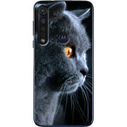 Чехол BoxFace Motorola G8 Plus English cat