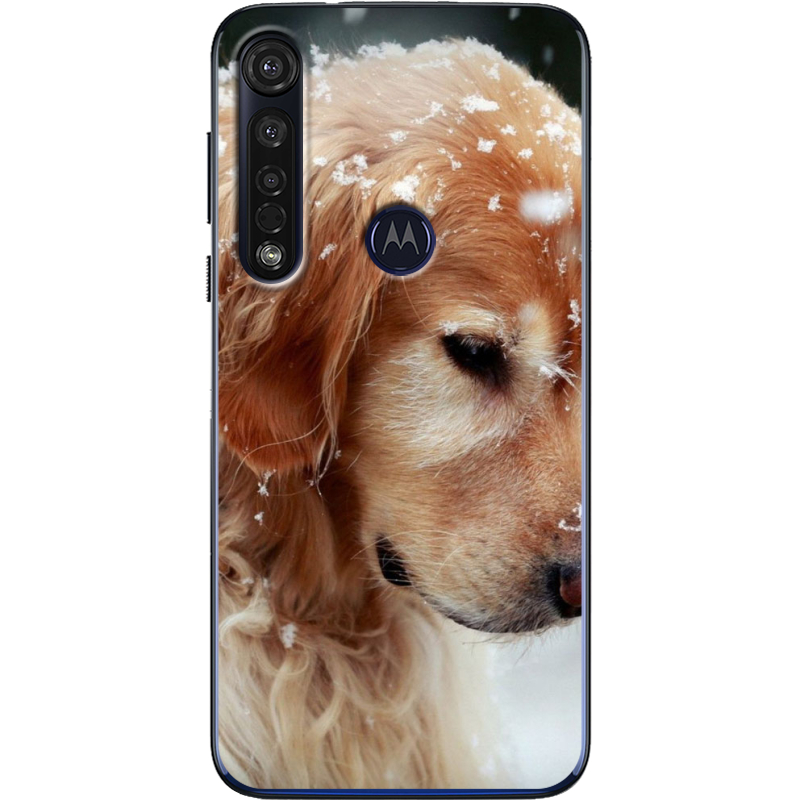 Чехол BoxFace Motorola G8 Plus Golden Retriever