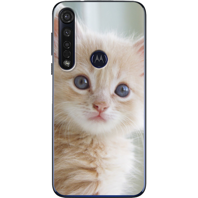 Чехол BoxFace Motorola G8 Plus Animation Kittens