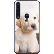 Чехол BoxFace Motorola G8 Plus Puppy Labrador