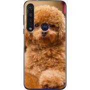 Чехол BoxFace Motorola G8 Plus 