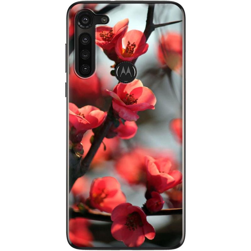 Чехол BoxFace Motorola G8 Power Awakening Spring