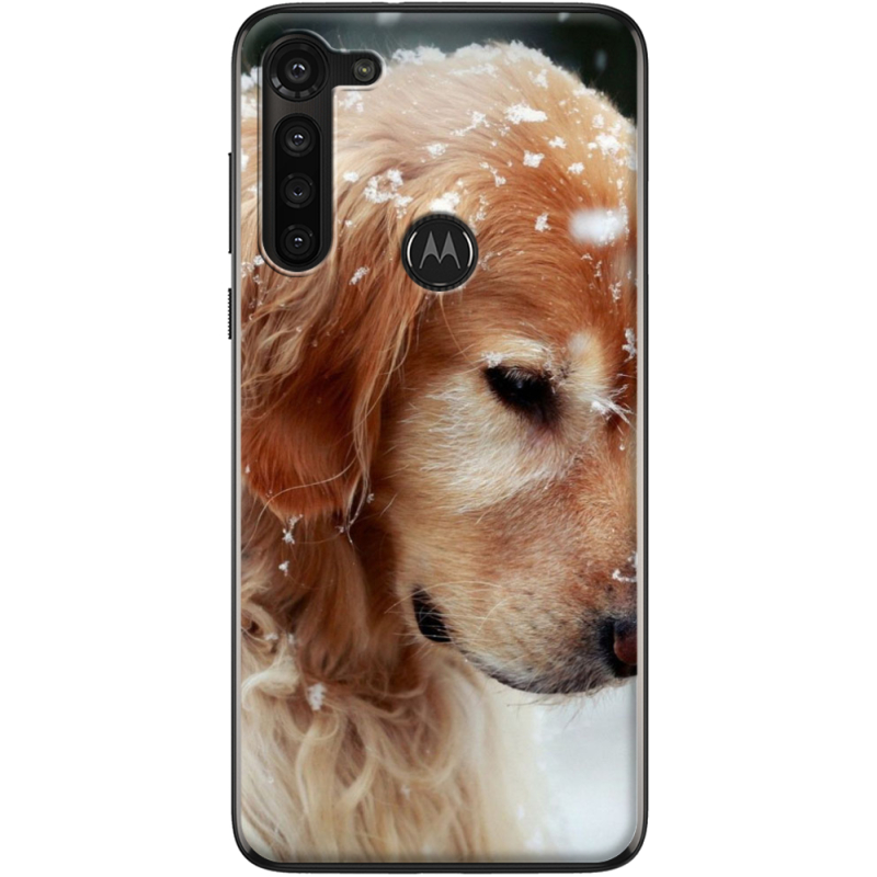 Чехол BoxFace Motorola G8 Power Golden Retriever