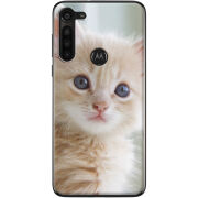 Чехол BoxFace Motorola G8 Power Animation Kittens