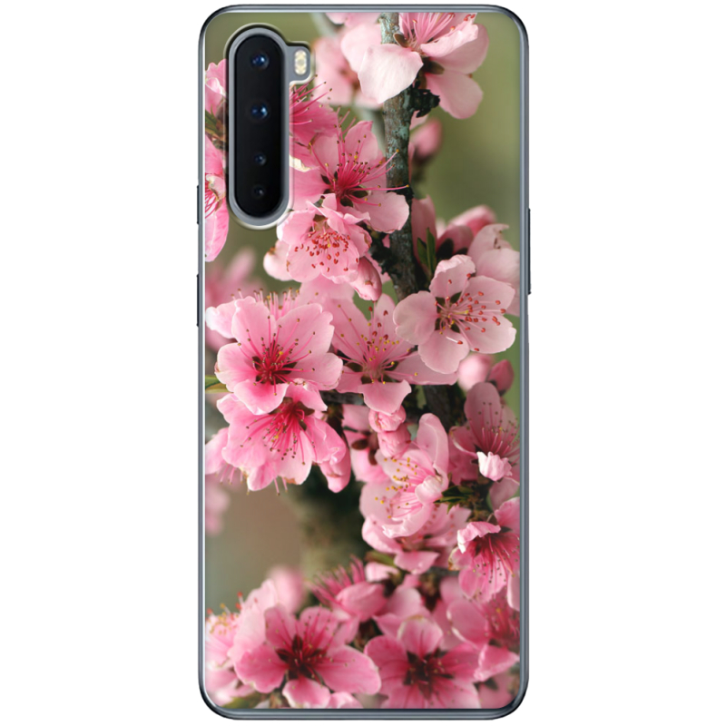 Чехол BoxFace OnePlus Nord Вишневые Цветы
