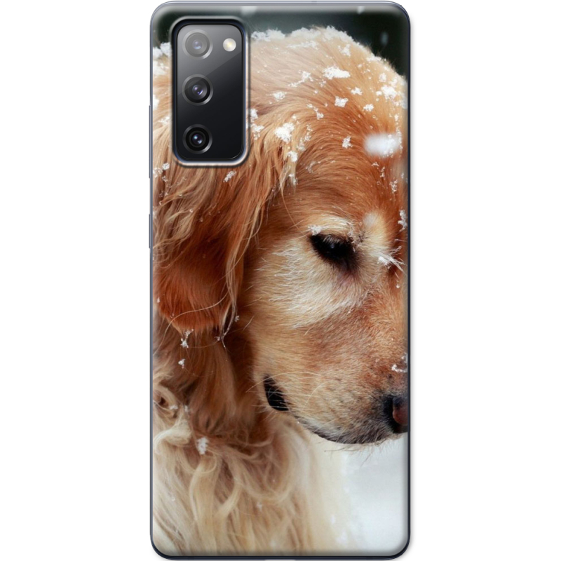 Чехол BoxFace Samsung G780 Galaxy S20 FE Golden Retriever