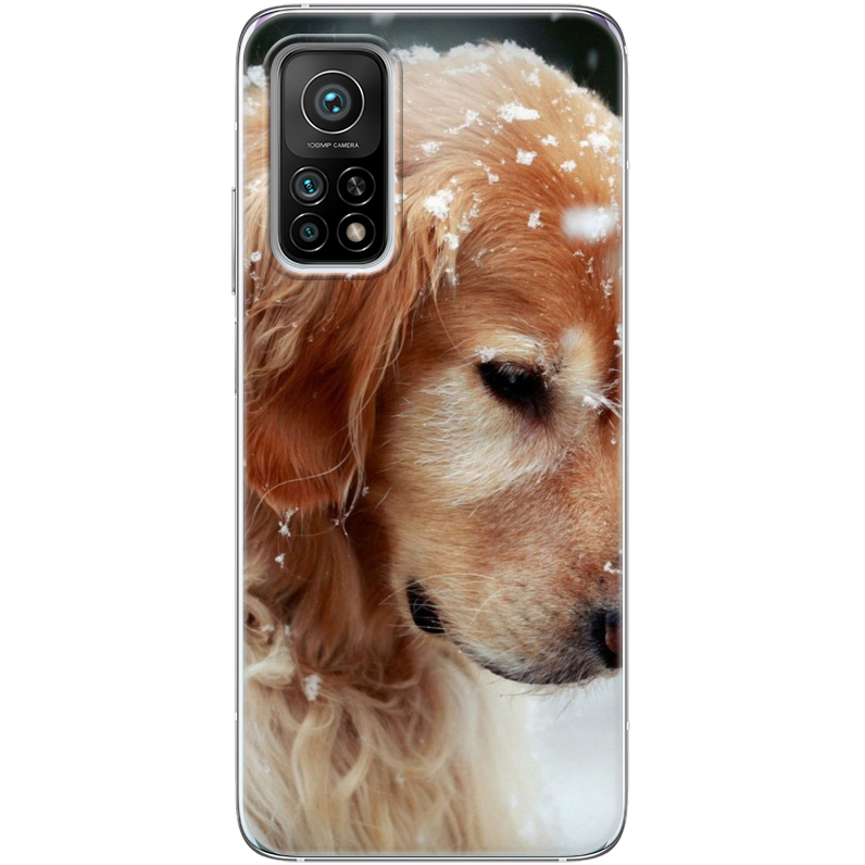 Чехол BoxFace Xiaomi Mi 10T/ Mi 10T Pro Golden Retriever