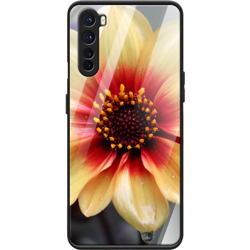 Защитный чехол BoxFace Glossy Panel OnePlus Nord 