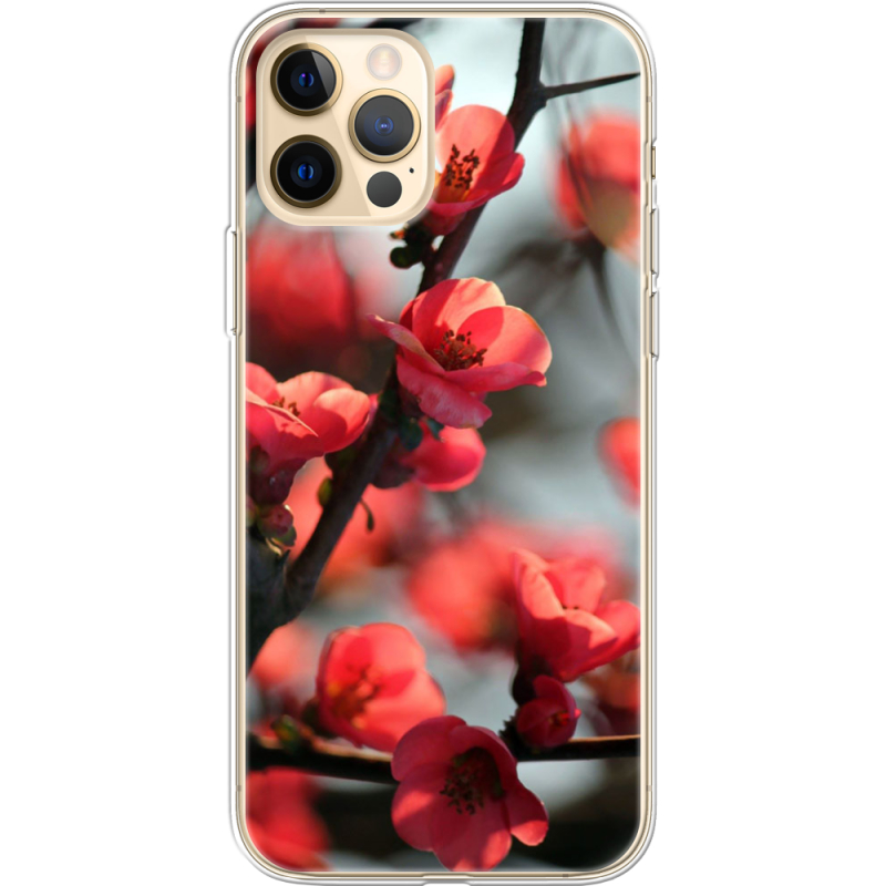 Чехол BoxFace Apple iPhone 12 Pro Max Awakening Spring