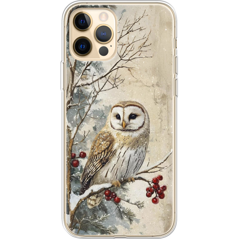 Чехол BoxFace Apple iPhone 12 Pro Max Christmas Owl