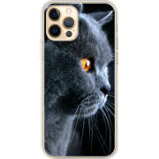 Чехол BoxFace Apple iPhone 12 Pro Max English cat