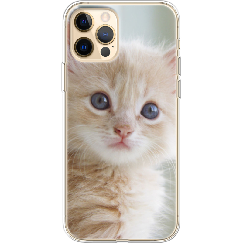 Чехол BoxFace Apple iPhone 12 Pro Max Animation Kittens