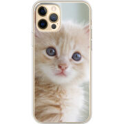 Чехол BoxFace Apple iPhone 12 Pro Max Animation Kittens