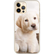 Чехол BoxFace Apple iPhone 12 Pro Max Puppy Labrador