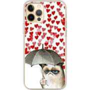 Чехол BoxFace Apple iPhone 12 Pro Max Raining Hearts