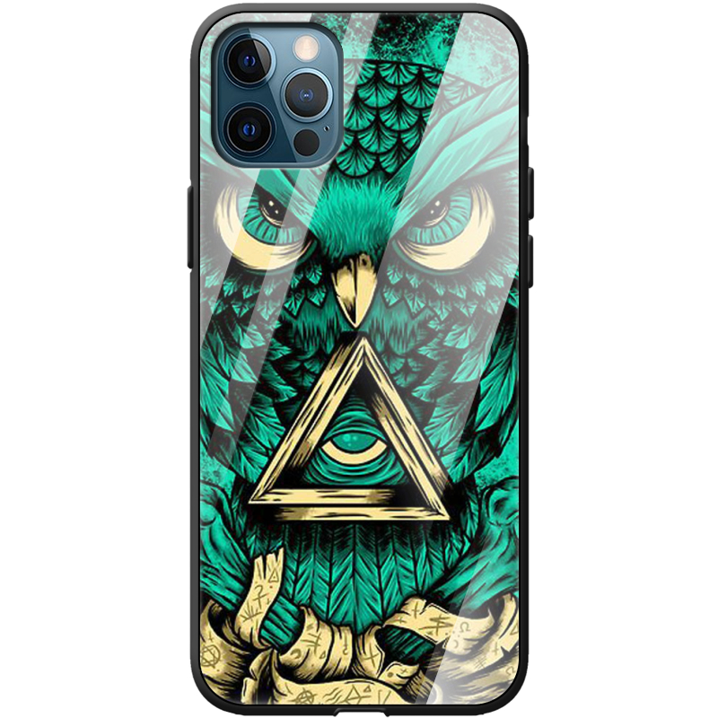 Защитный чехол BoxFace Glossy Panel Apple iPhone 12 Pro Masonic Owl