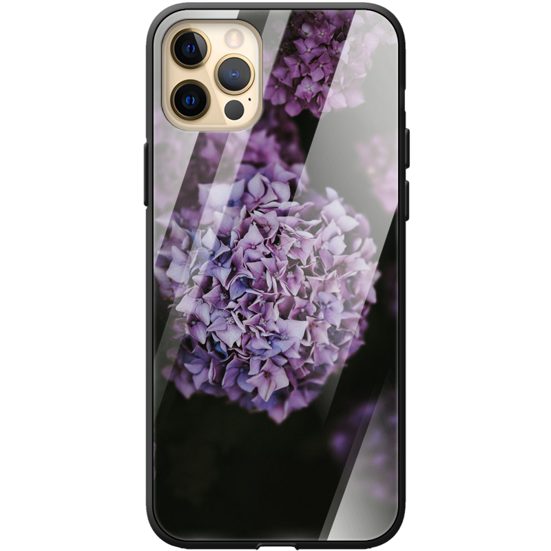 Защитный чехол BoxFace Glossy Panel Apple iPhone 12 Pro Max 