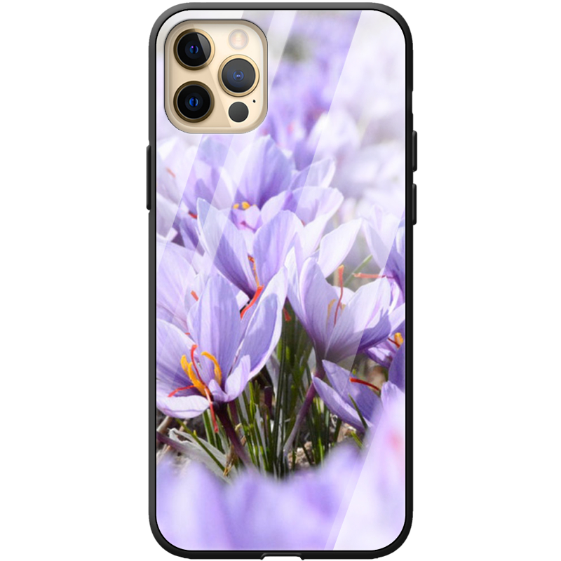 Защитный чехол BoxFace Glossy Panel Apple iPhone 12 Pro Max 