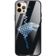 Защитный чехол BoxFace Glossy Panel Apple iPhone 12 Pro Max Game of Starks