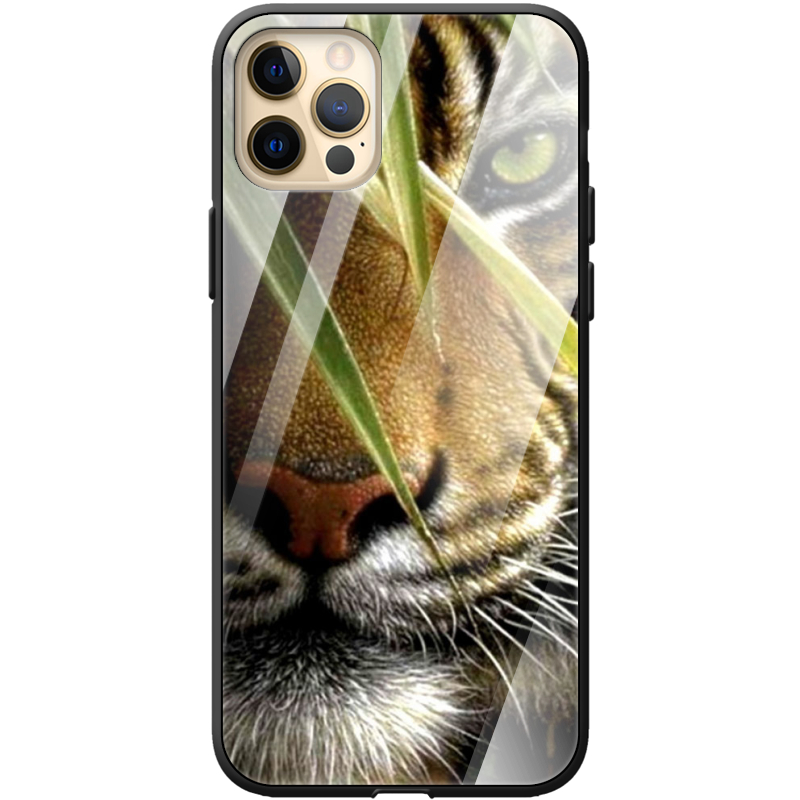 Защитный чехол BoxFace Glossy Panel Apple iPhone 12 Pro Max 