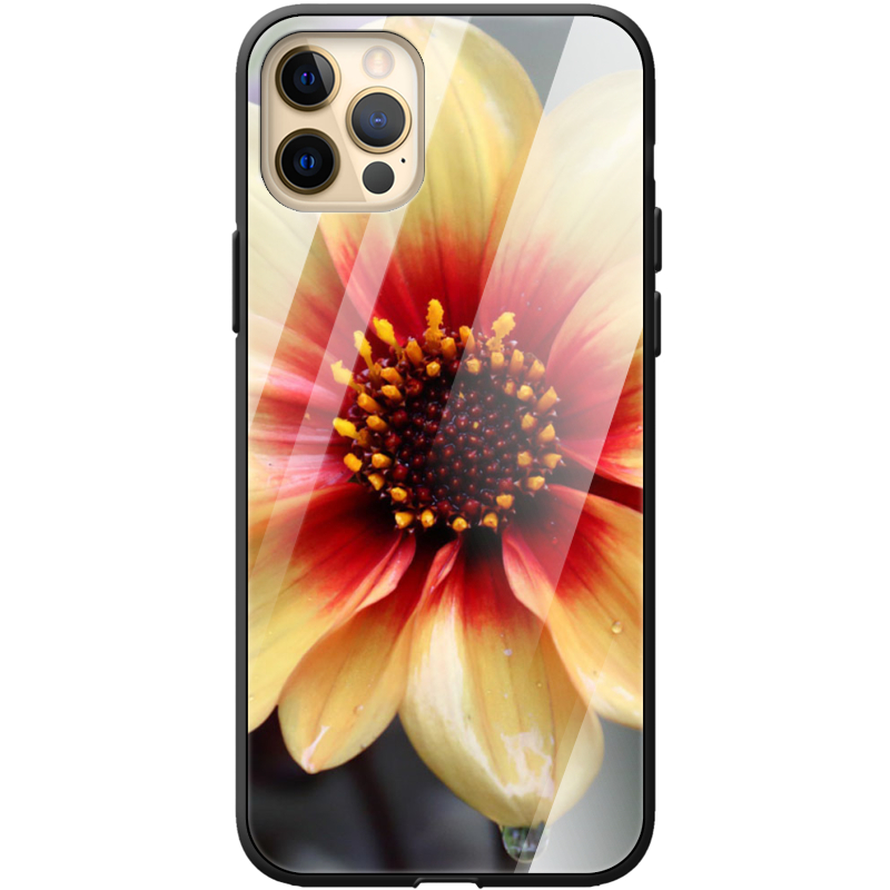 Защитный чехол BoxFace Glossy Panel Apple iPhone 12 Pro Max 