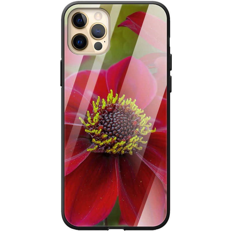 Защитный чехол BoxFace Glossy Panel Apple iPhone 12 Pro Max 