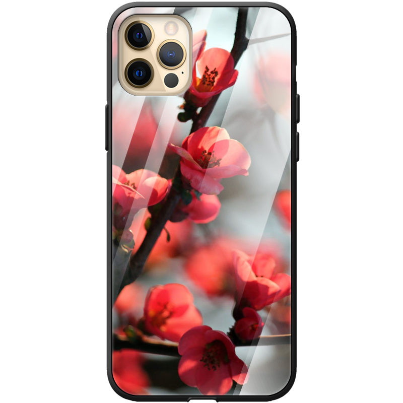 Защитный чехол BoxFace Glossy Panel Apple iPhone 12 Pro Max 