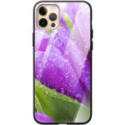 Защитный чехол BoxFace Glossy Panel Apple iPhone 12 Pro Max 