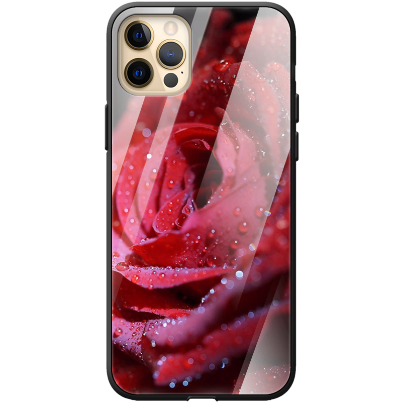 Защитный чехол BoxFace Glossy Panel Apple iPhone 12 Pro Max 