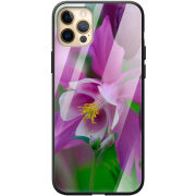 Защитный чехол BoxFace Glossy Panel Apple iPhone 12 Pro Max 