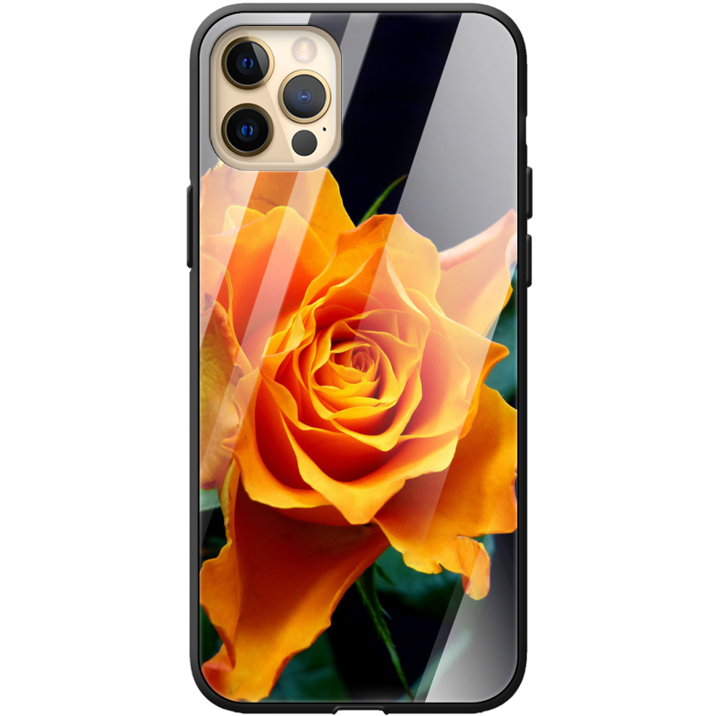 Защитный чехол BoxFace Glossy Panel Apple iPhone 12 Pro Max 