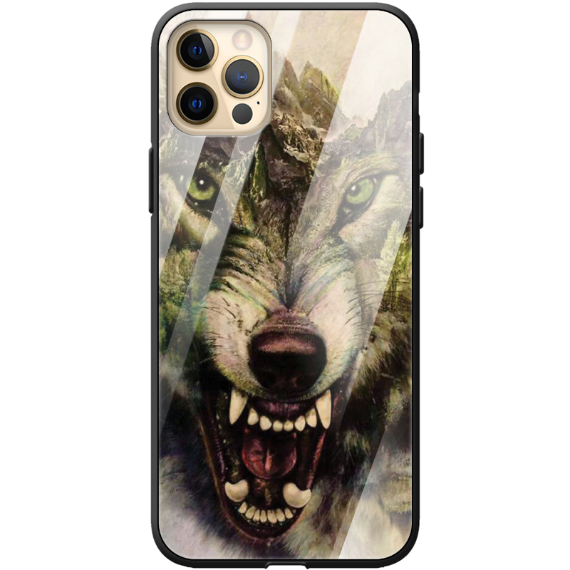 Защитный чехол BoxFace Glossy Panel Apple iPhone 12 Pro Max 