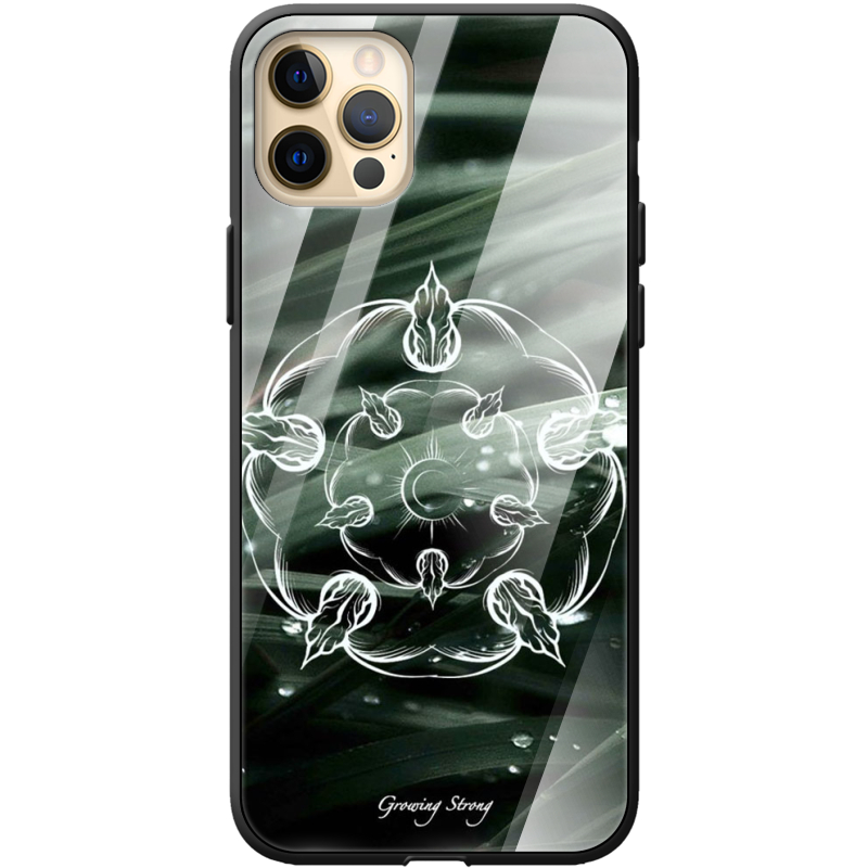 Защитный чехол BoxFace Glossy Panel Apple iPhone 12 Pro Max 