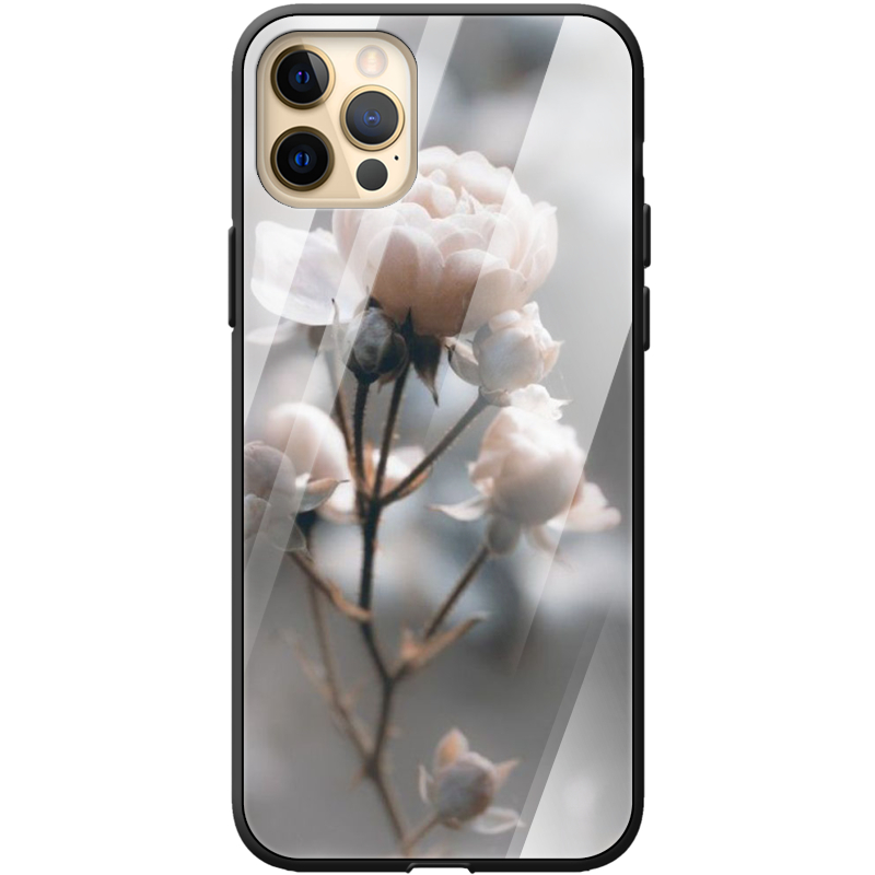 Защитный чехол BoxFace Glossy Panel Apple iPhone 12 Pro Max 